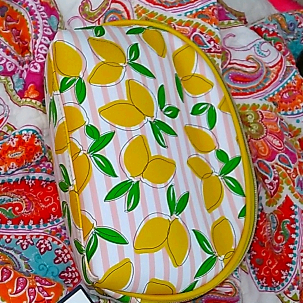 LEMON 🍋 COSMETIC 💄 CASE